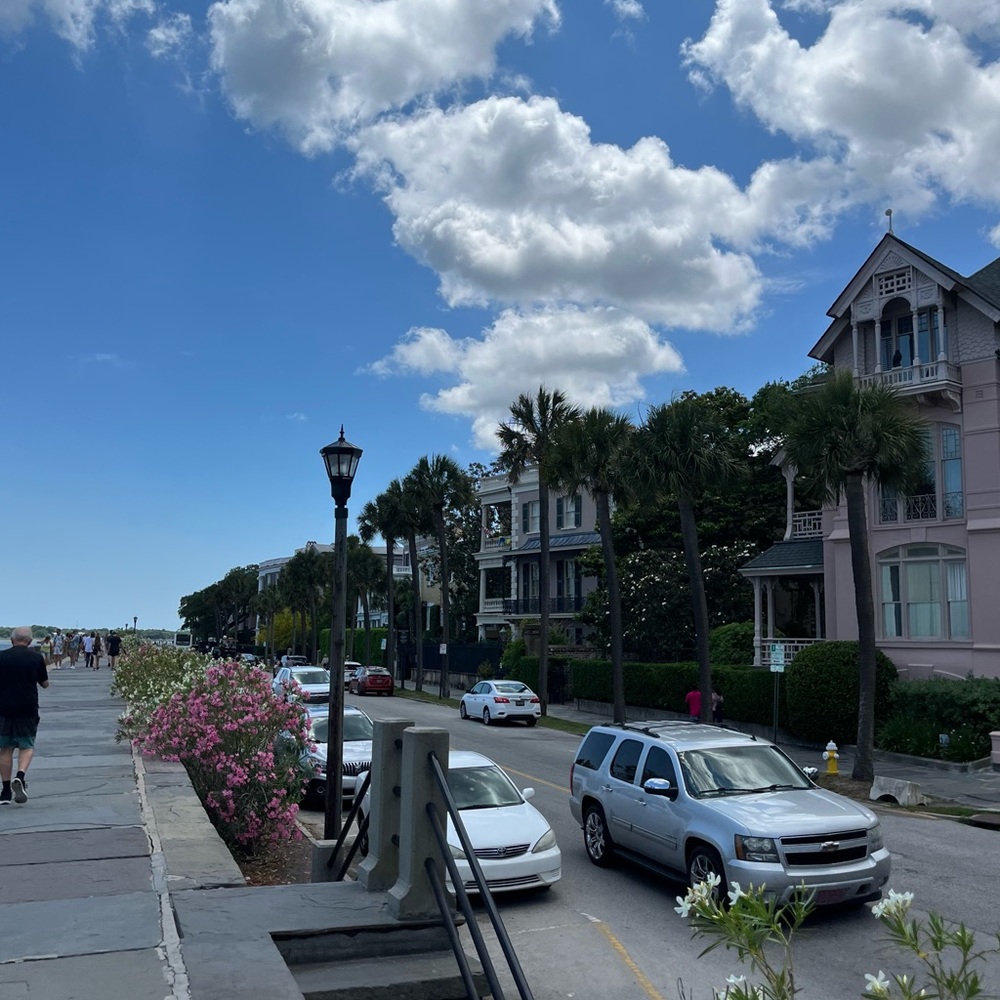 Meet your Posher, Maddie